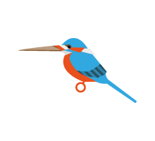 Picture of a kingfisher