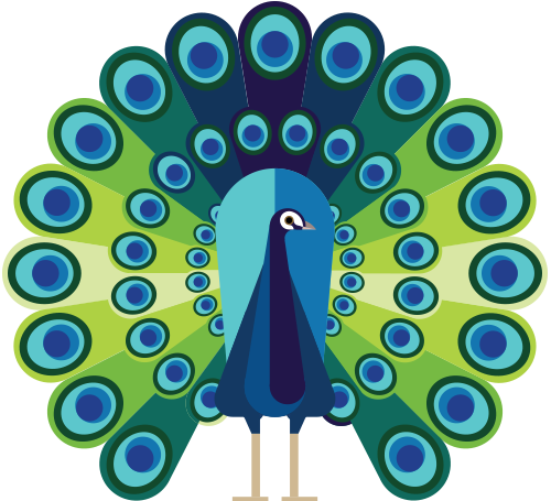 Picture of a peacock