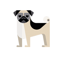 Picture of a pug